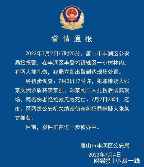 最新唐山爆料案件,真相与争议交织的街头暴力事件